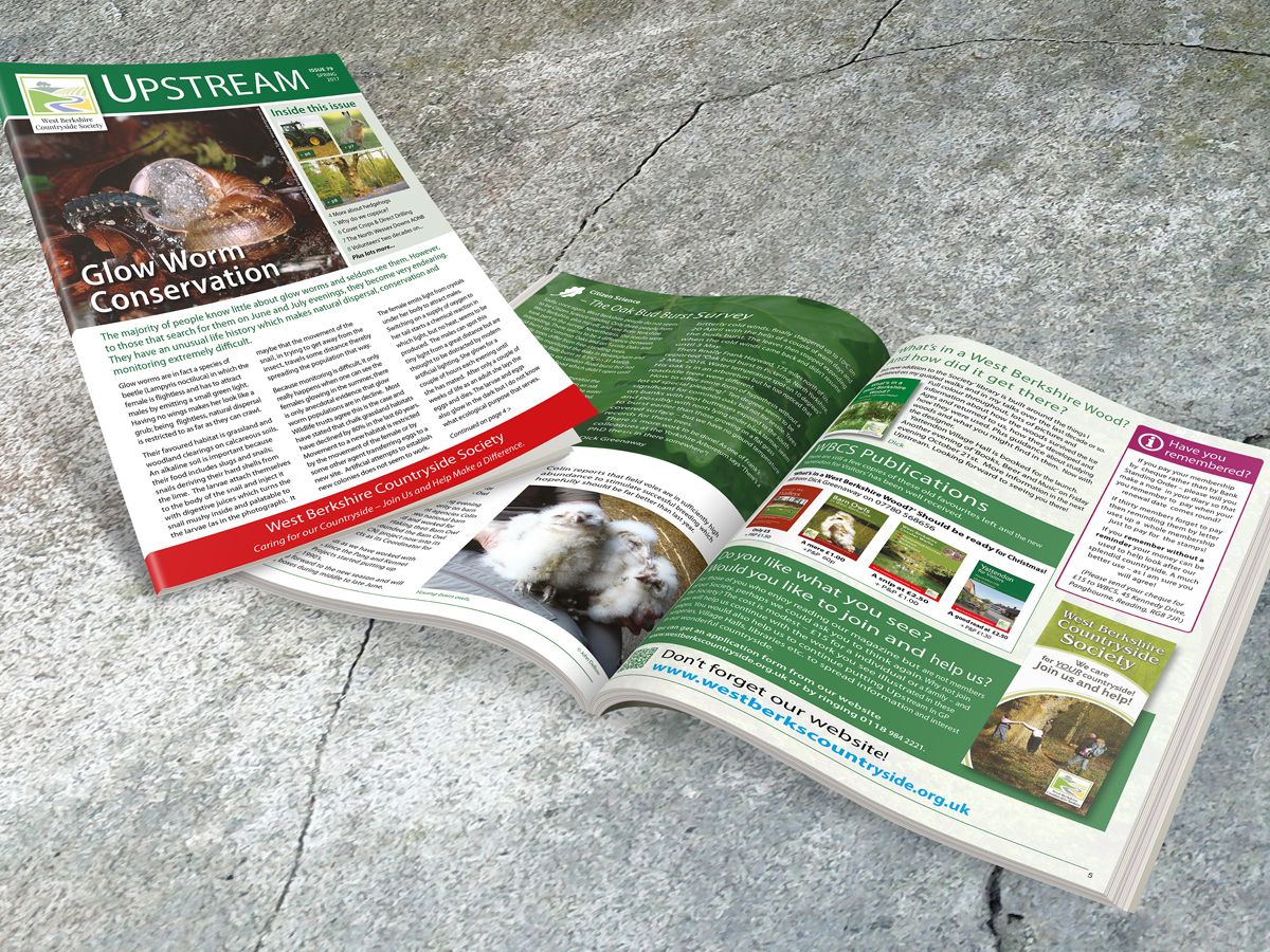 Newsletter and Magazine Design